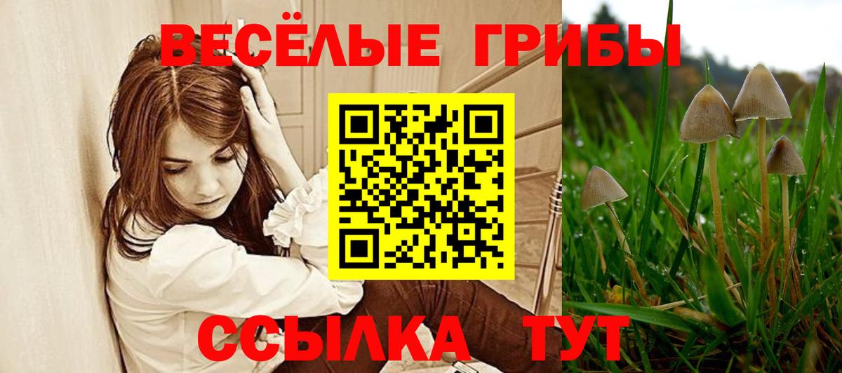 Псилоцибиновые грибы ЛСД Дивногорск